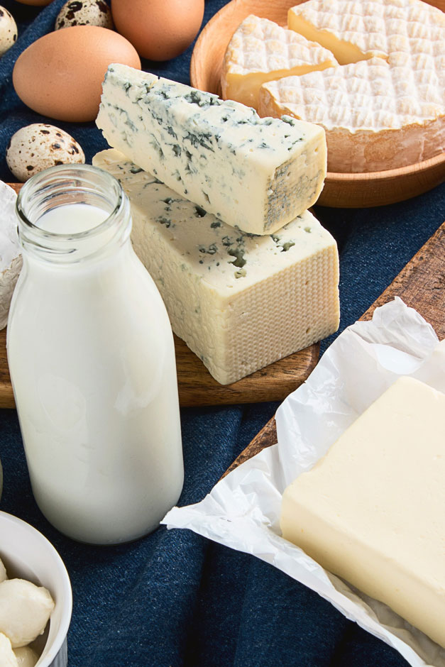 Milchprodukte: verschiedene Käse, Quark, Milch, Butter sowie Hühner- und Wachteleier
